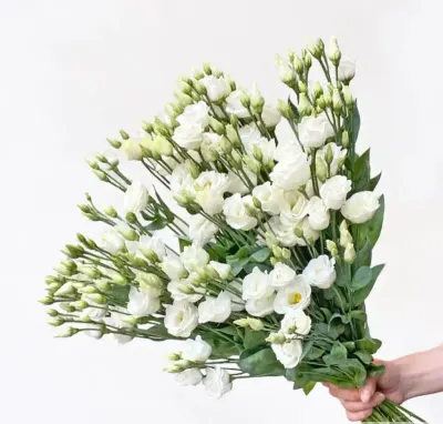 White Lisianthus — création florale