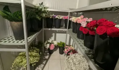 Boutique pixelfleurs by fleurazur