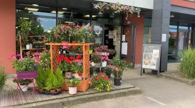 Boutique la cabine végétale
