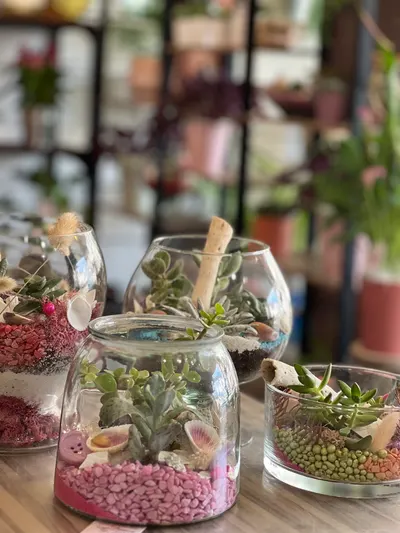Terrarium — création florale