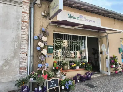 Boutique MAISON HORTENSE